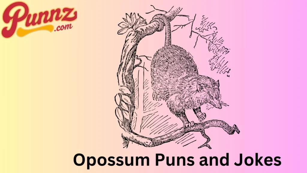 These Opossum Puns