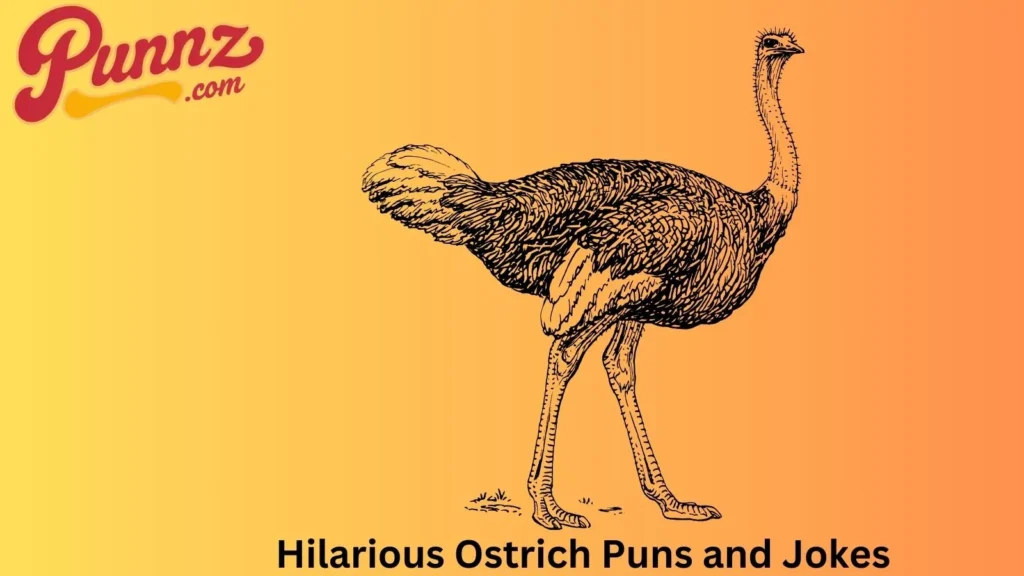 Laugh Out Loud with These Ostrich Puns