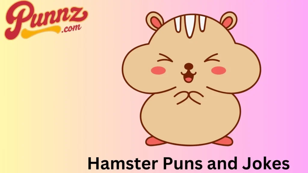 Laughs from Hamsters