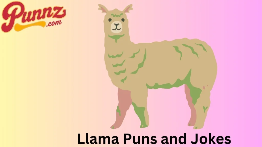 Llama Jokes to Keep You