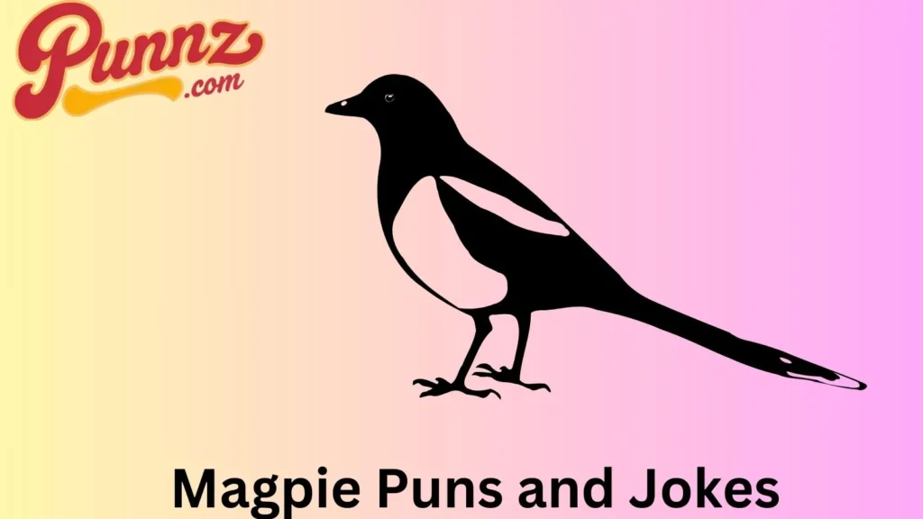 Magpie Puns