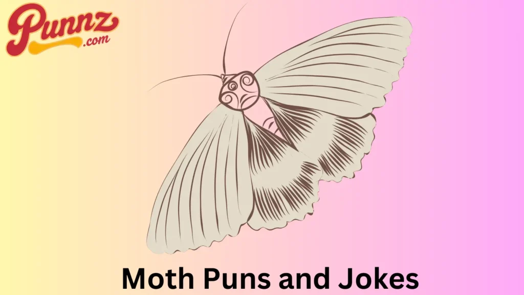 Moth Puns and Jokes