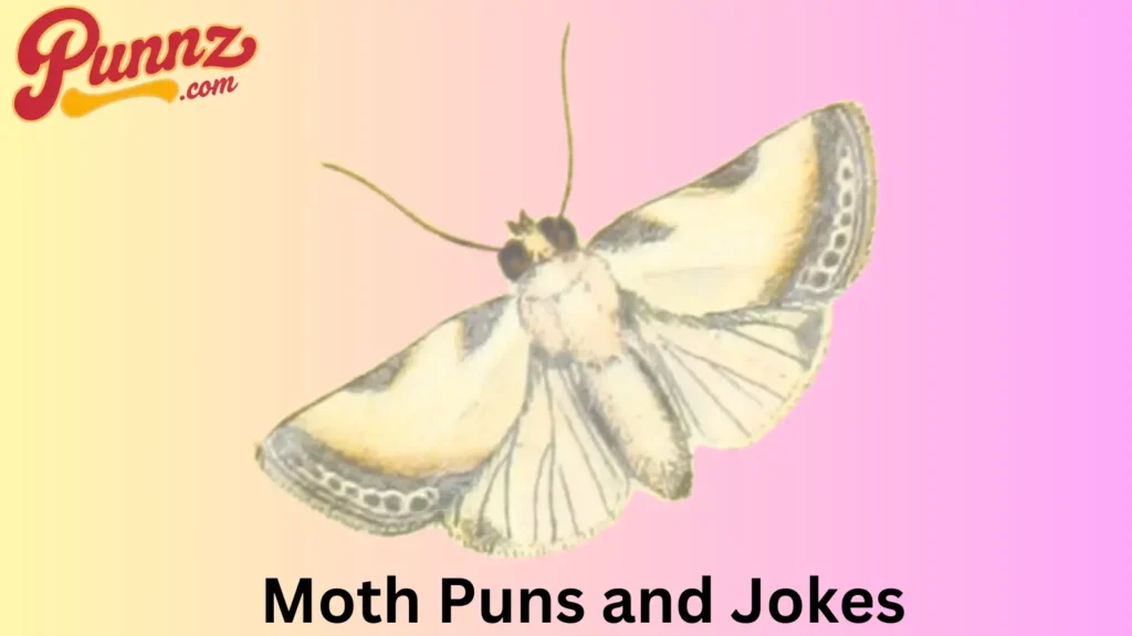 Moth puns one liners