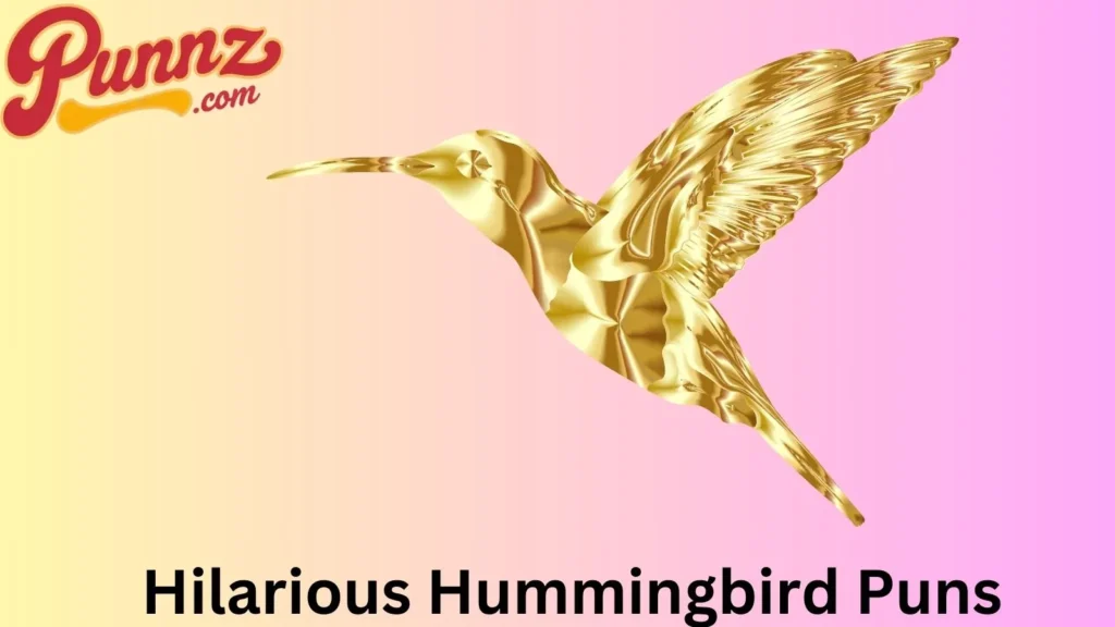 Playful Hummingbird Jokes
