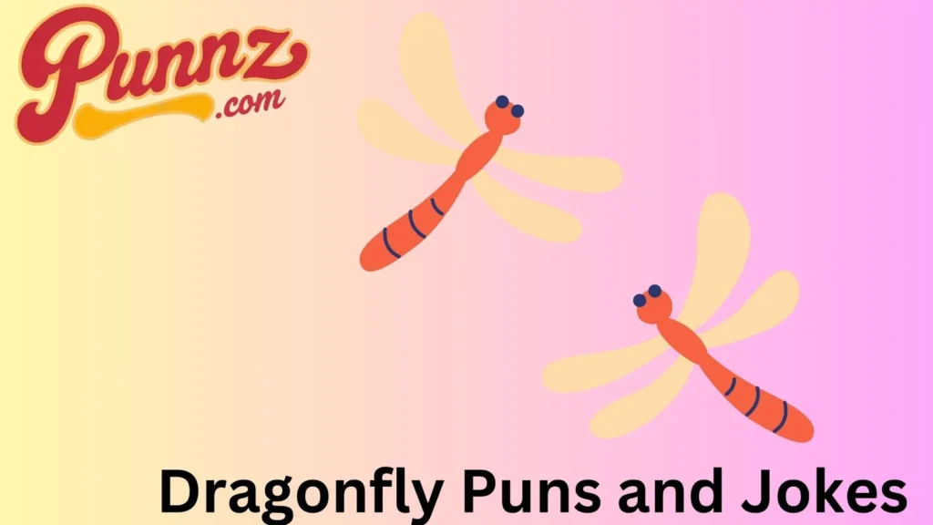 Punny Dragonfly Humor 