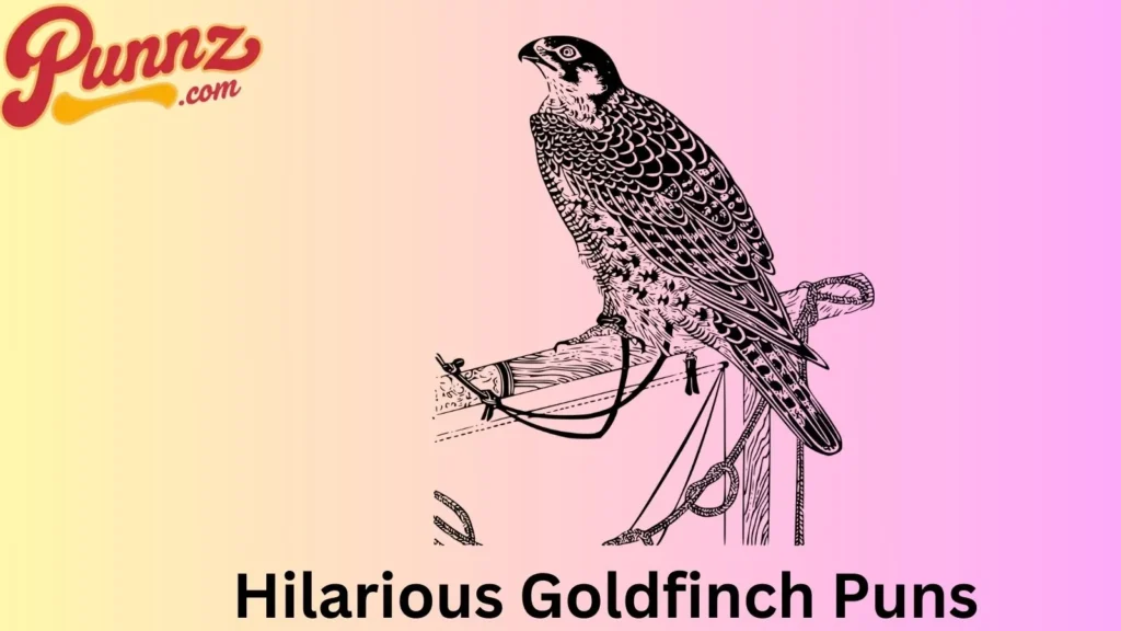 Punny Goldfinch Sayings