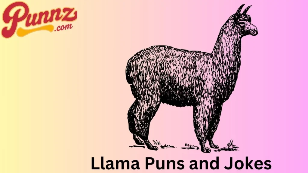 Punny Llama Humor