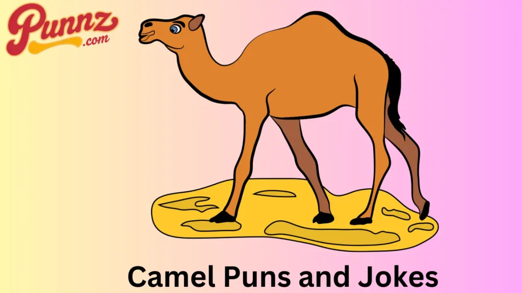 Puns for Your Next Adventure
