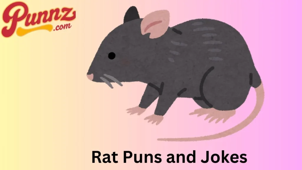 rat puns and jokes