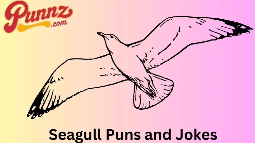 Seagull Puns 