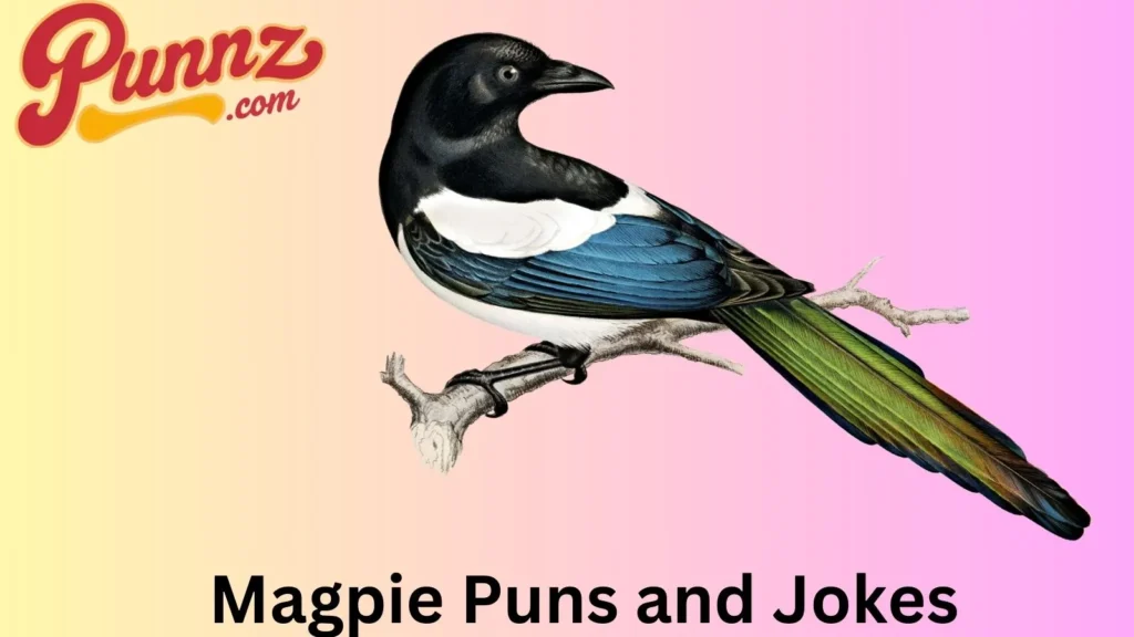 Sharing Laughs with Magpie 