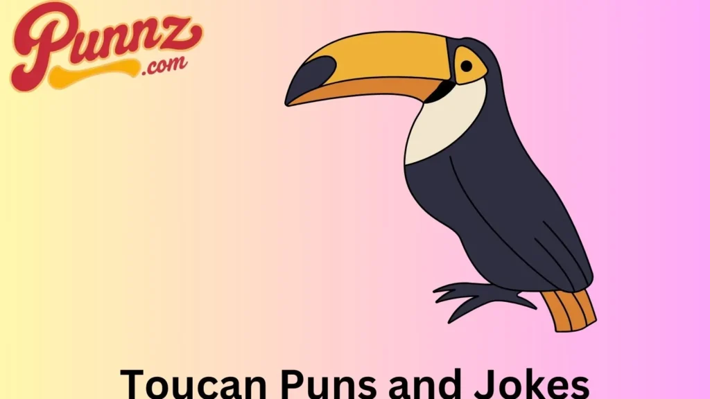 Splash of Fun with Toucan