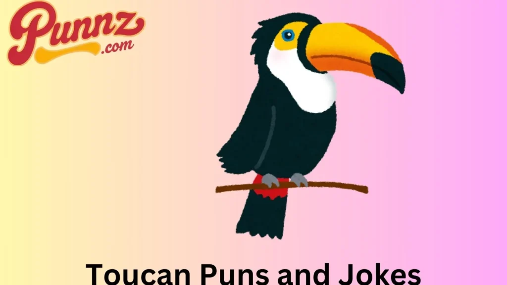 Spreading Joy with Toucan 