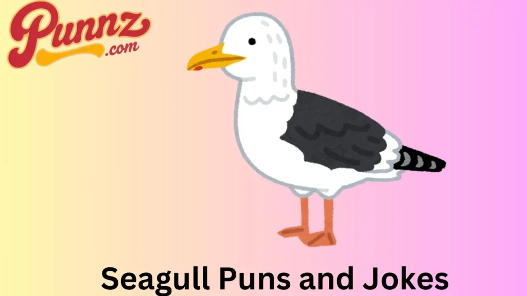 Spreading Smiles with Seagull