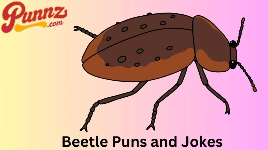 The Best Beetle Jokes