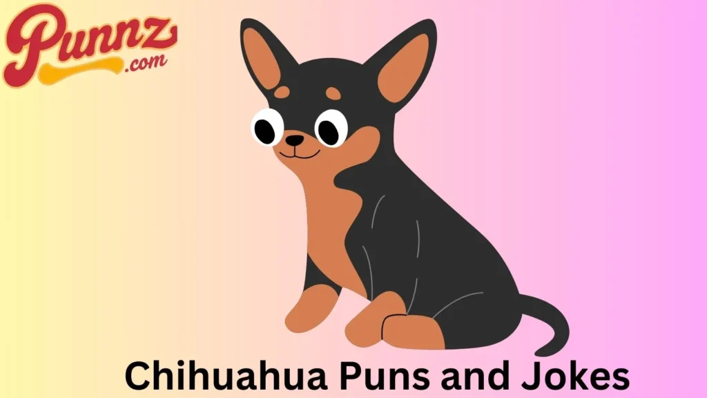 The Best Collection of Chihuahua Jokes