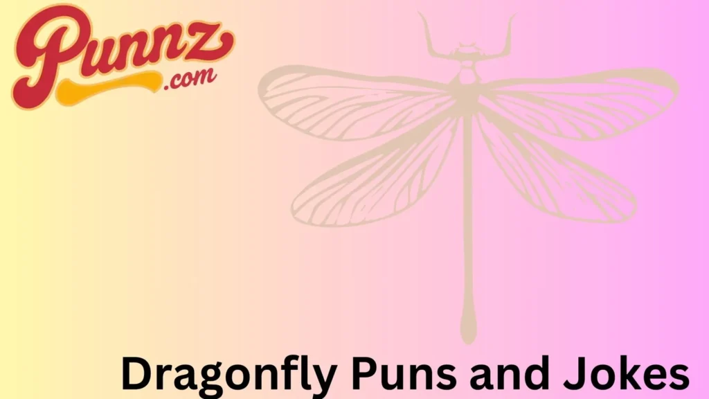 The Best Dragonfly Jokes