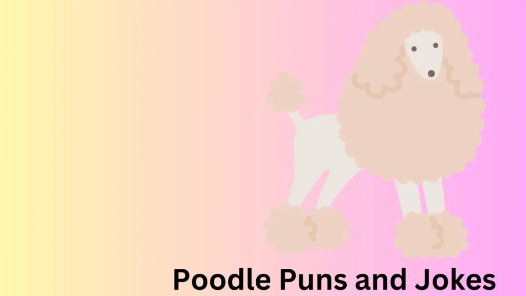 The Best Poodle Jokes That Are a Real Treat