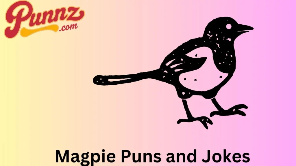 The Funniest Magpie Puns 