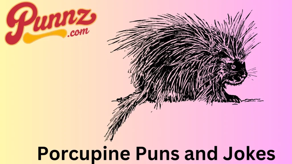 The Sharpest Porcupine Jokes