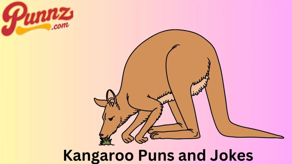 Hilarious Kangaroo Jokes