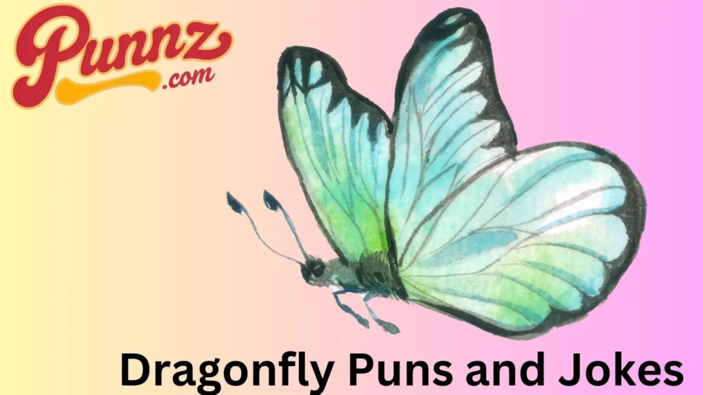 These Dragonfly Jokes