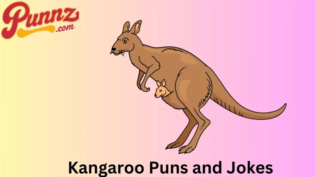 Top Kangaroo Jokes
