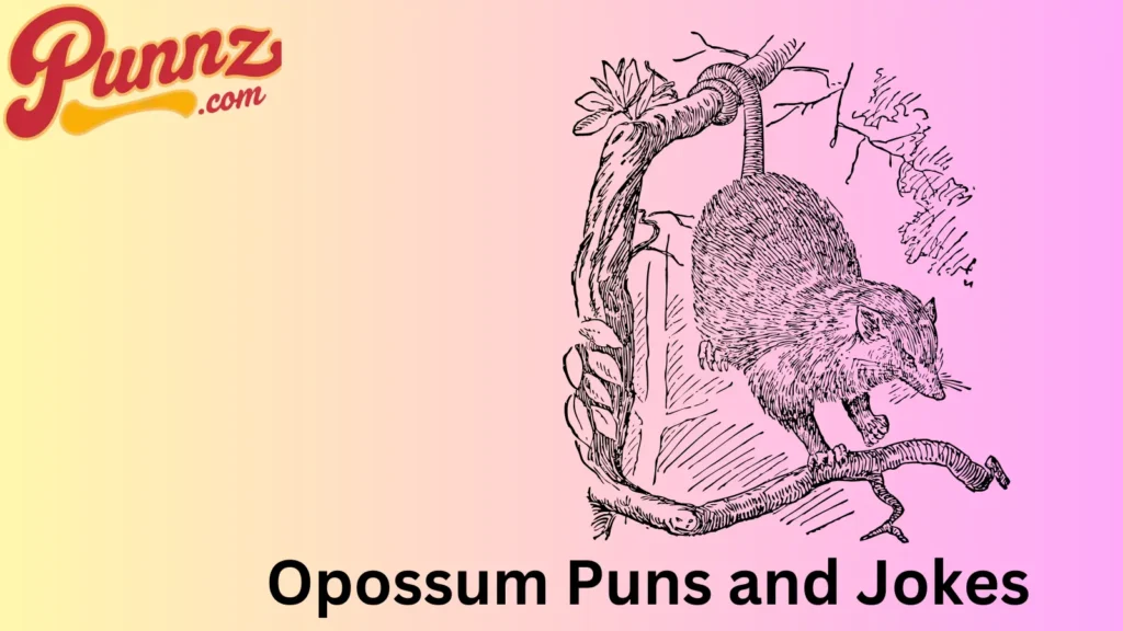 Top Opossum Jokes
