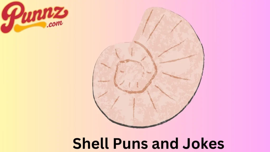 Top Shell Jokes