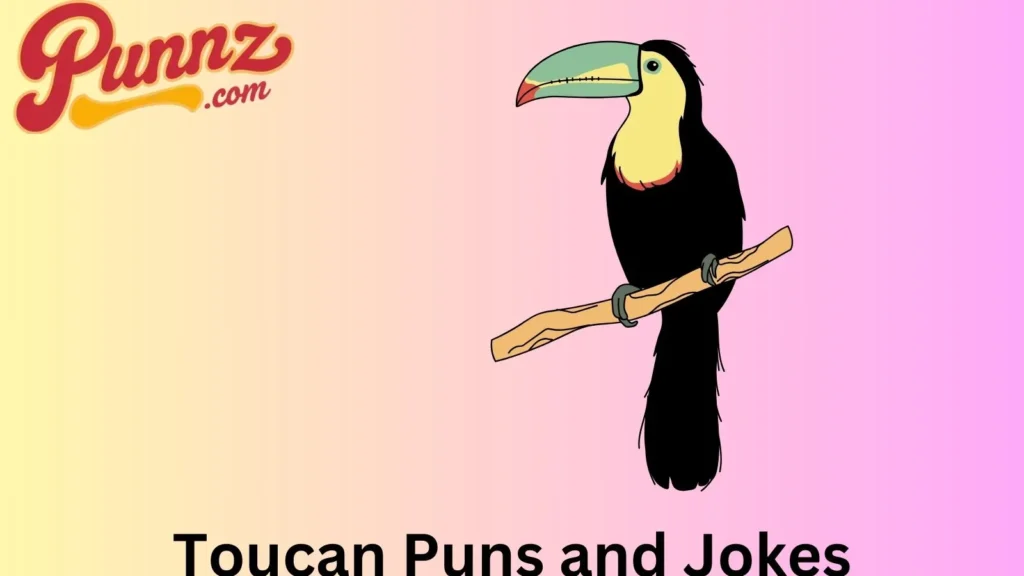 Toucan Puns and Jokes