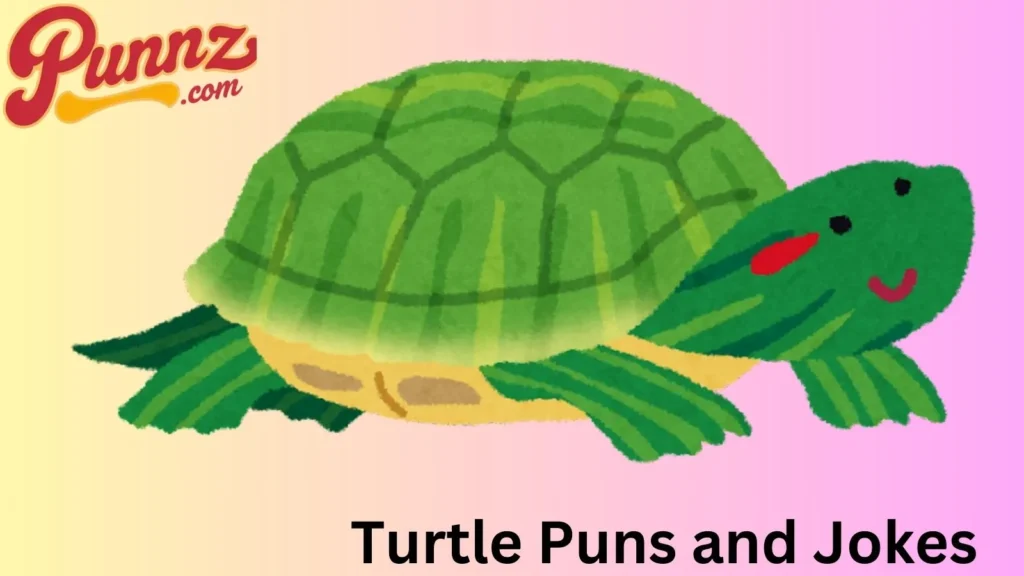 Turtle pun one-liners