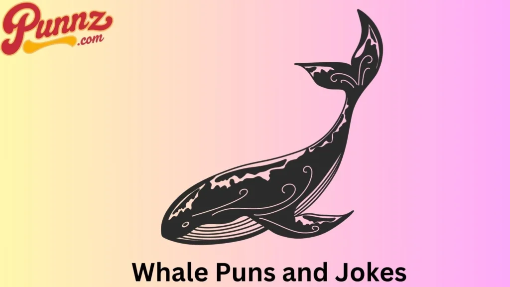 Whale Humor That Will Have You Rolling