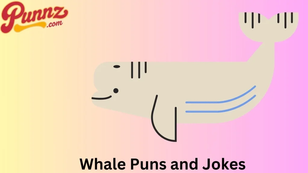 Whale Puns That Are Simply Flippin' Funny