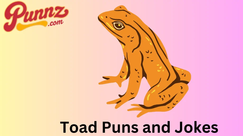 Witty Toad Jokes