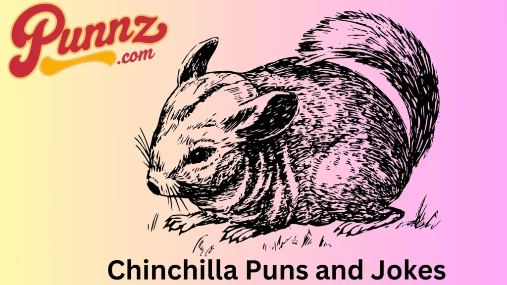 Your Day with Chinchilla Humor