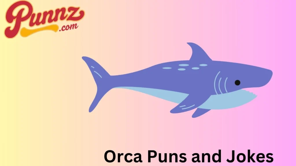 Hilarious Orca Puns