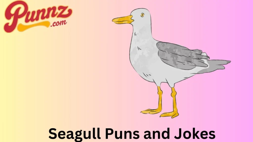 Seagull Puns and Jokes