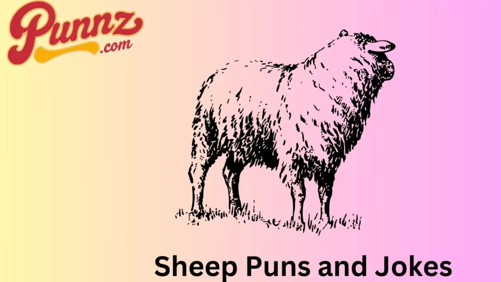 Sheep Wordplay