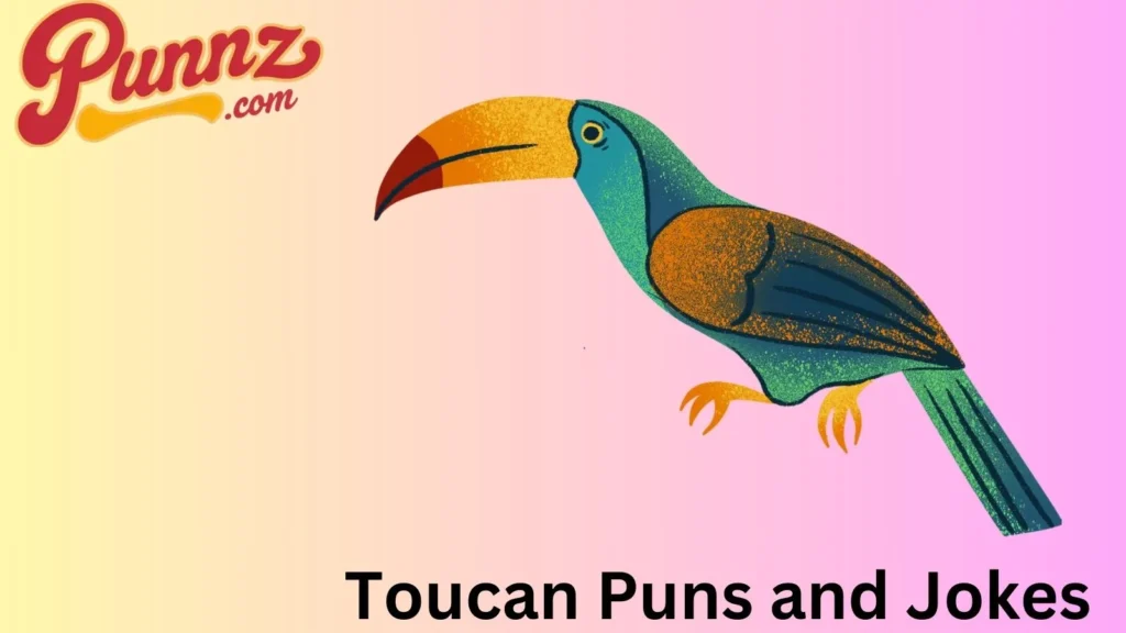 210 Toucan Puns and Jokes to Make You Squawk with Laughter 🦜 (2025) Toucan Pun