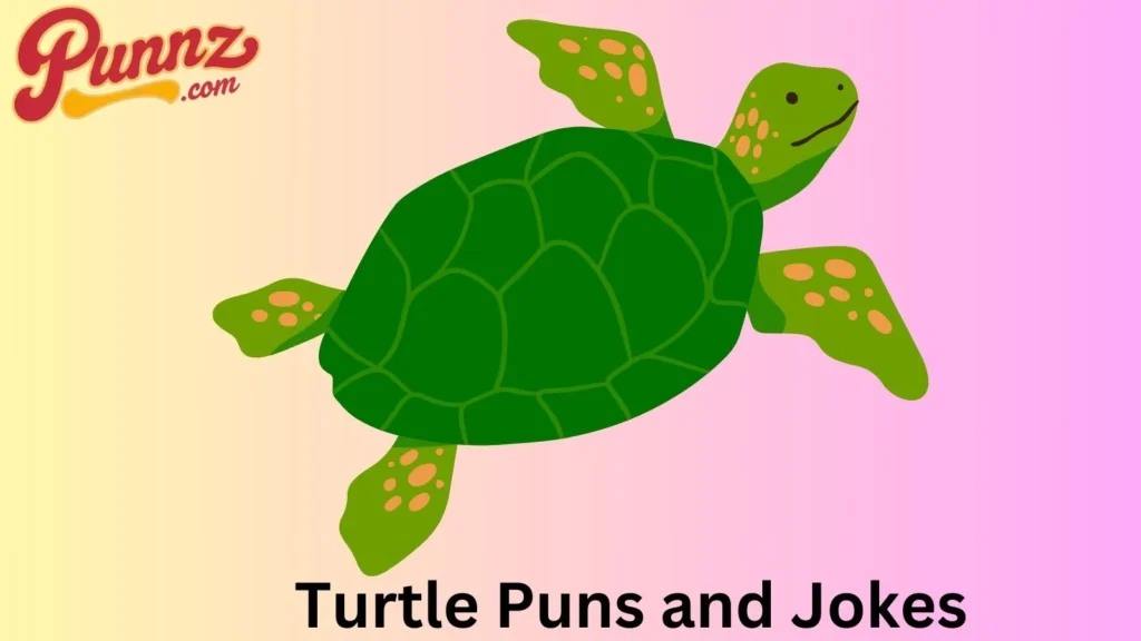 The Best Turtle Jokes