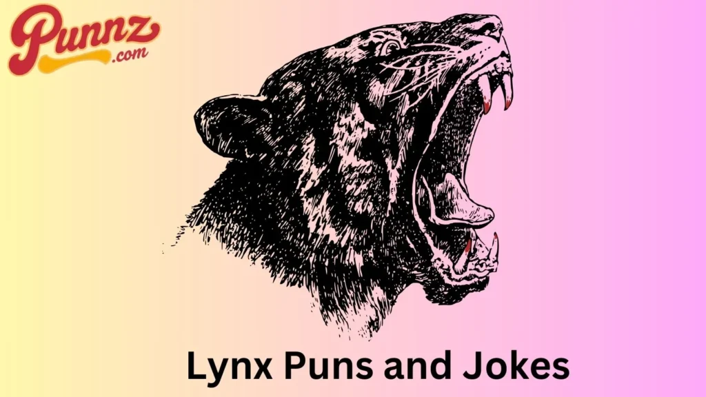 A Furry Good Time with Lynx