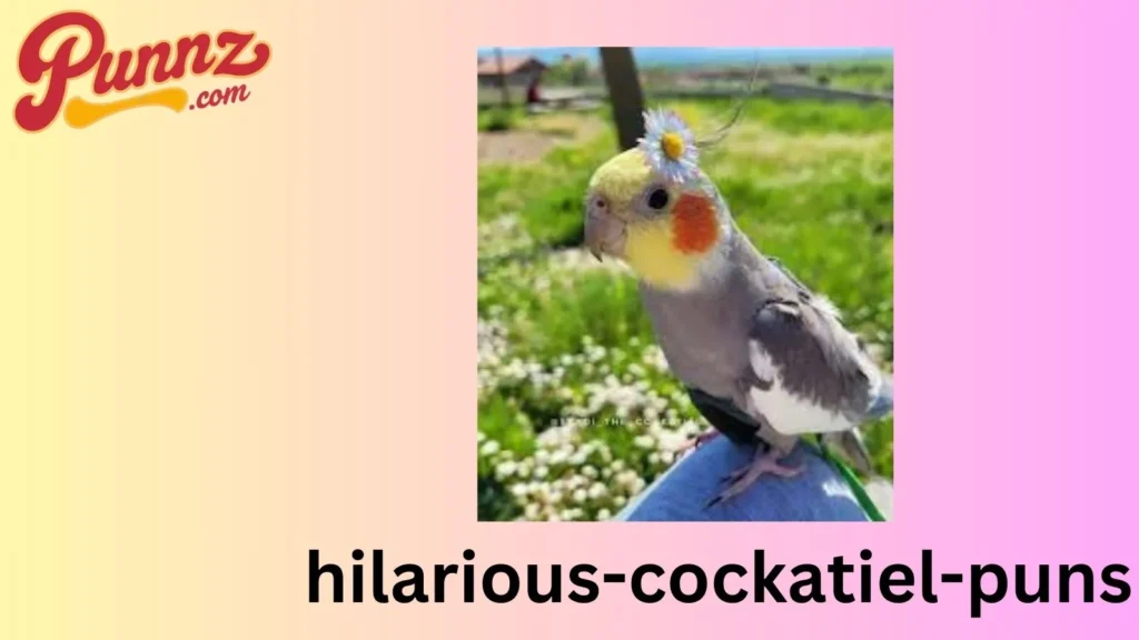 Funny cockatiel puns