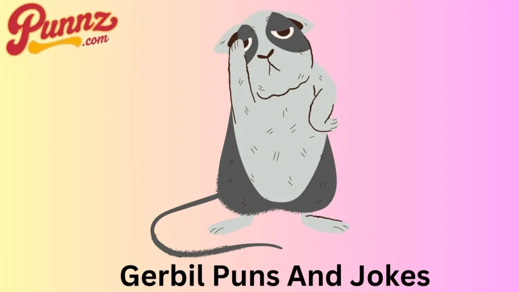 Funny gerbil puns and jokes
