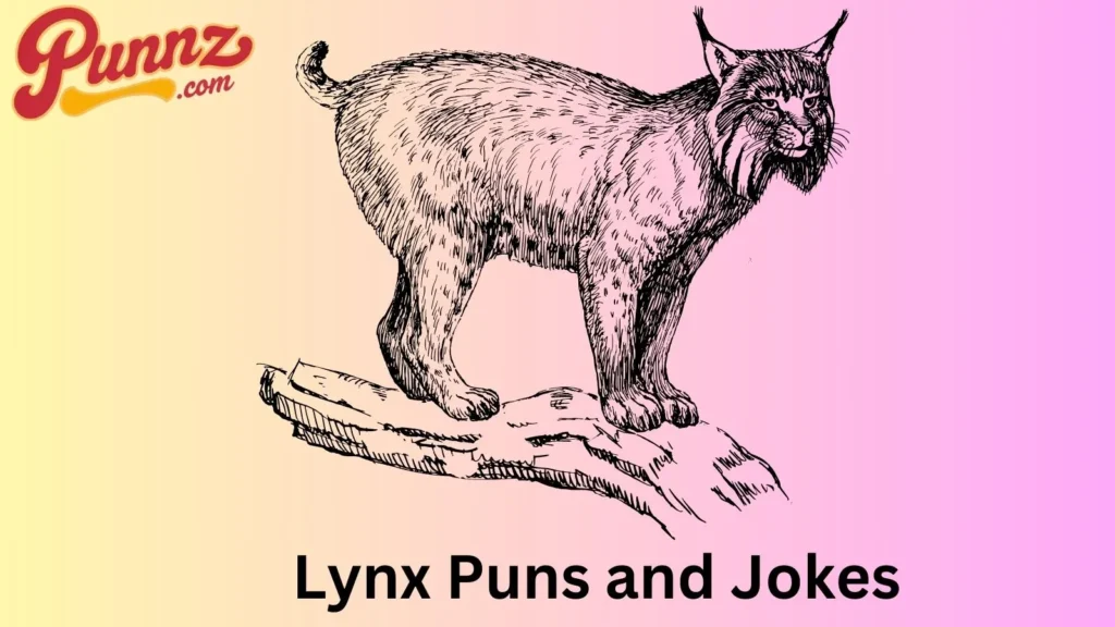 Funny lynx puns and jokes