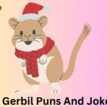 Gerbil Puns And Jokes