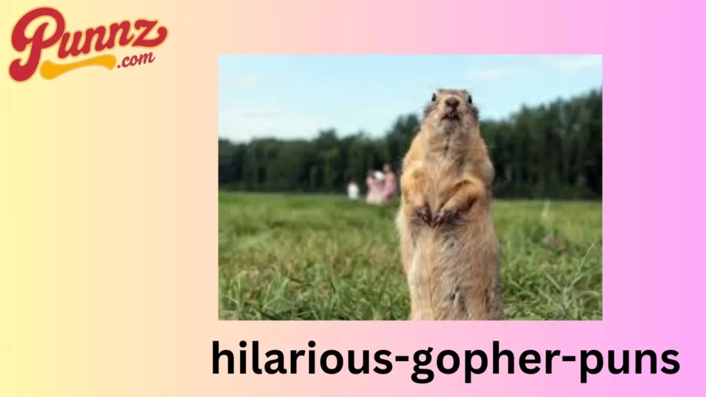 Loud Gopher Puns