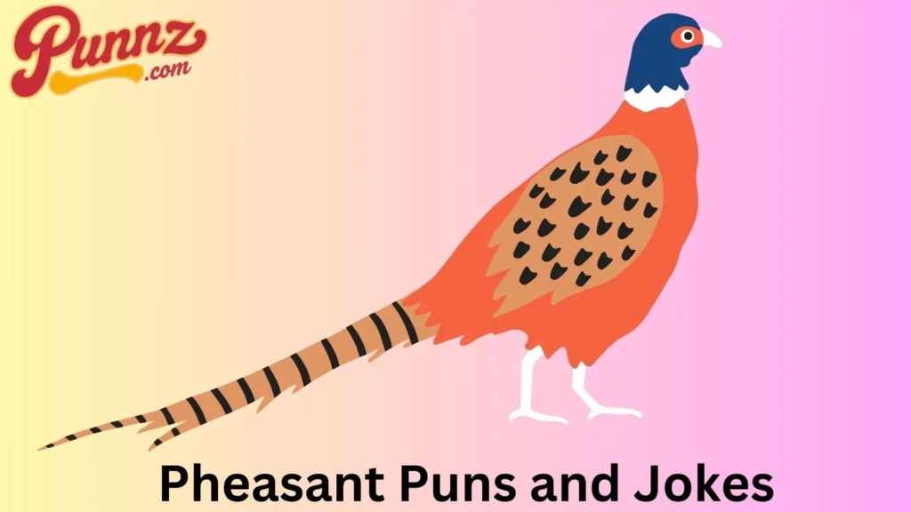 Overview of pheasant puns 