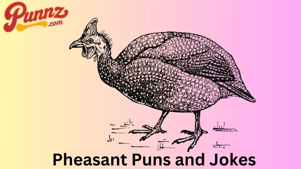 Pheasant puns for all occasions