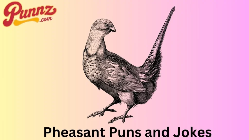 Pheasant puns one liners