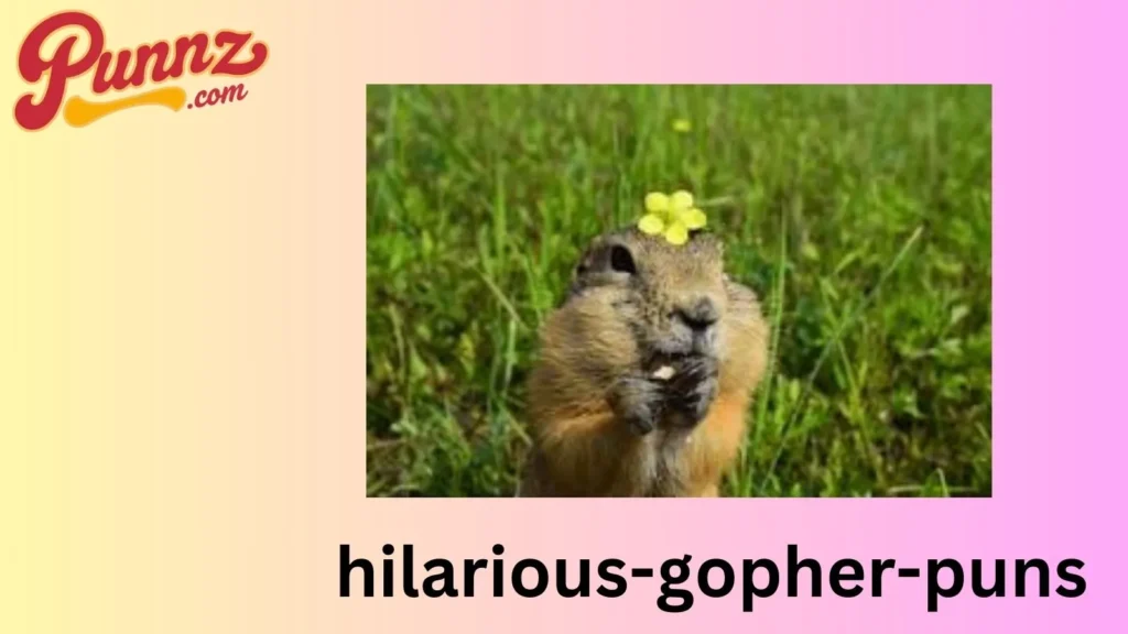 Quick Gopher Jokes